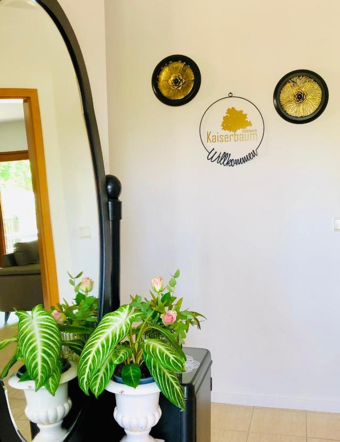 Ferienhaus Kaiserbaum Illmitz Zewnętrze zdjęcie